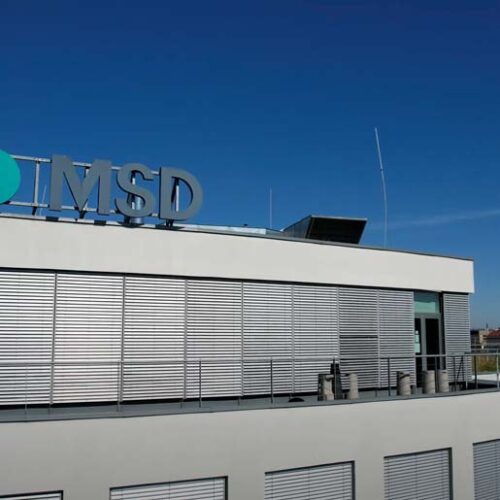 msd zzmi